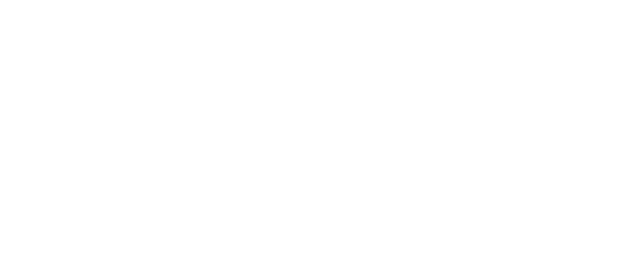 About The Fit