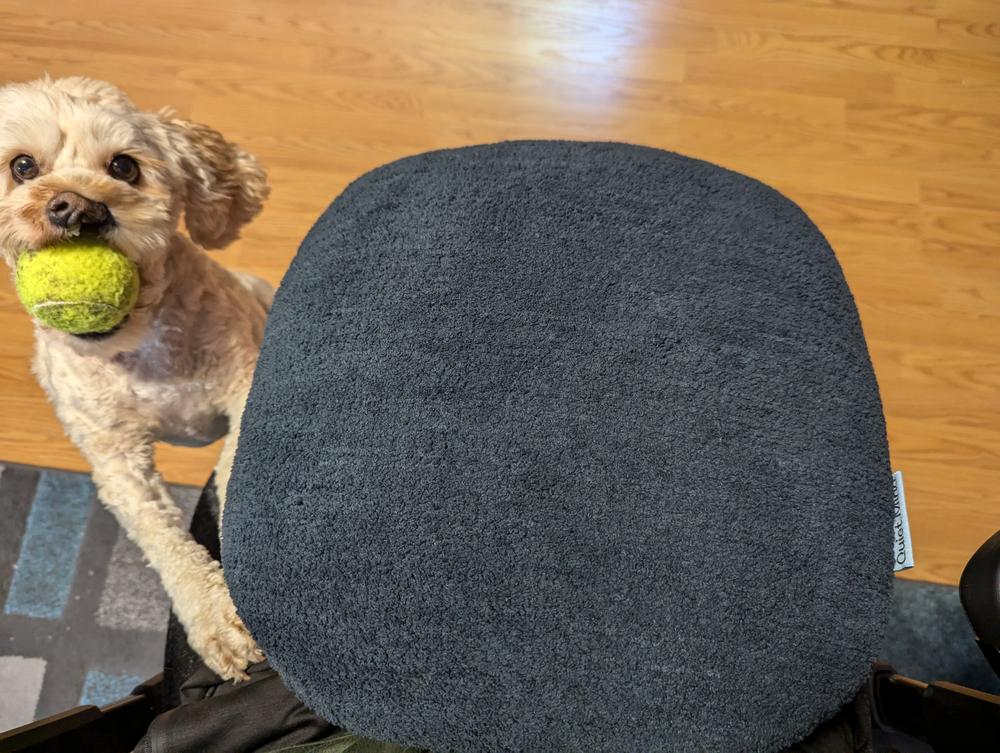 Turi Weighted Pillow